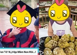 Gia Đình Hải Sen - TikToker bán thực phẩm chức năng "biến mất" bí ẩn, gỡ luôn giỏ hàng