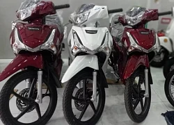 Giá xe Future 125 FI 2025 mới nhất rẻ vô đối, giảm sâu kỷ lục, lấn át doanh số Wave Alpha và RSX