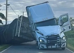Hàng trăm triệu con ong thoát ra ngoài sau khi xe tải bị lật