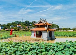 Hấp dẫn tour trải nghiệm sen tại đền Kiếp Bạc