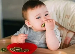 Hướng dẫn dinh dưỡng cho trẻ 1 tuổi