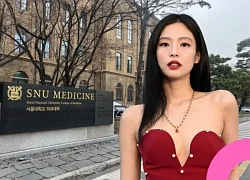Jennie (BLACKPINK) vướng sao quả tạ: Đã góp 1,8 tỷ đồng nhưng vẫn bị mắng "lên bờ xuống ruộng"!