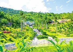 Khám phá khu rừng tình yêu tại khu du lịch Núi Thần Tài
