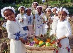 Lễ Shavuot - Giá trị văn hóa, nghệ thuật đặc sắc của đất nước Israel