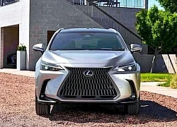 Lexus NX 2025 nâng cấp tập trung vào trang bị tiện ích, giá từ 1,08 tỷ đồng
