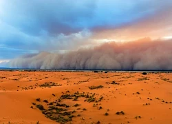 Mây bụi Sahara khổng lồ bao phủ vùng Caribe