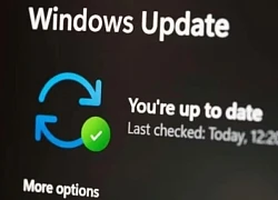 Microsoft khiến Windows Update trở nên quan trọng hơn bao giờ hết