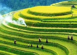 Mù Cang Chải: Điểm đến thu hút du khách với những trải nghiệm giàu bản sắc văn hóa