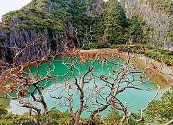 Mùa lá đỏ trên Vịnh Hạ Long