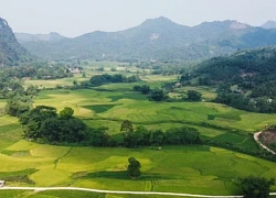Mục sở thị những nhũ đá độc lạ hang Bó Mỳ Hà Giang