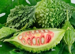 Mướp đắng có tốt cho gan?