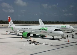 Ngành hàng không dự báo giá vé giảm mạnh