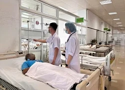 Nhiều người nhập viện sau khi ăn lẩu có nấm hái từ rẫy
