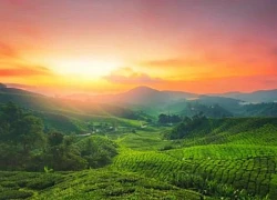 Những địa điểm hút khách nhất tại Malaysia