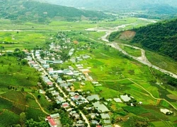 Những đồi chè xanh mát thu hút du khách đến Lai Châu