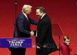 Những gương mặt tiềm năng có thể kế nhiệm tỷ phú Musk tại DOGE