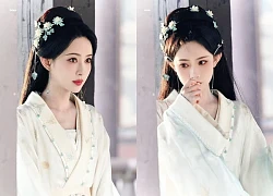 Quận chúa Trung Quốc đẹp nhất trước giờ: Visual quốc sắc thiên hương, hội chị em ngắm xong cũng muốn bẻ cong giới tính