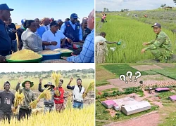 Team Châu Phi mất trụ cột 'hiến kế', bí mật chấn động về trang trại đã lộ ra?