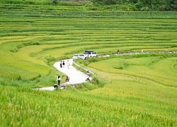 Thác nước ở Thanh Hóa hút khách tắm mát, ăn đặc sản 2 chân béo ngậy, thơm ngon