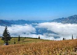 Thảo nguyên Suôi Thầu - "Thụy Sĩ thu nhỏ" ở Hà Giang