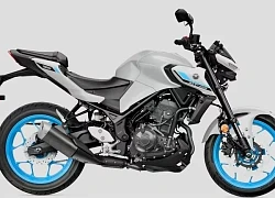 Top 10 naked bike giá rẻ đáng mua nhất năm 2025: Xướng tên Honda CB300R