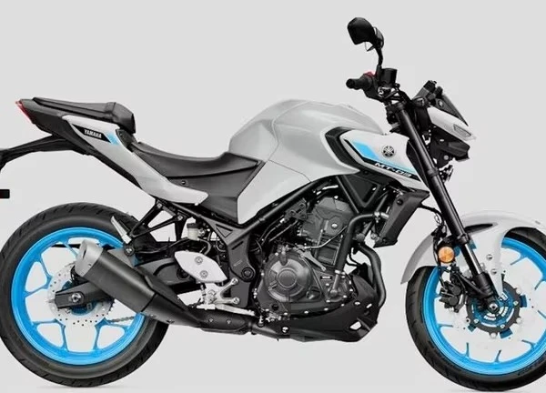 Top 10 naked bike giá rẻ đáng mua nhất năm 2025: Xướng tên Honda CB300R