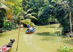 Cồn Sơn vào mùa, đi ăn trái cây, xem ếch, cá lóc nhảy vòng