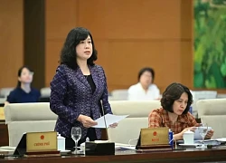 Từ nay, mỗi cặp vợ chồng, cá nhân được tự quyết định về số con