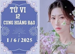 Tử vi 12 cung hoàng đạo ngày 1/6: Bạch Dương khởi sắc, Bảo Bình ổn định
