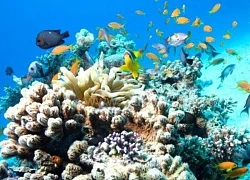 Việt Nam là điểm đến ấn tượng cho những người thích du lịch mạo hiểm