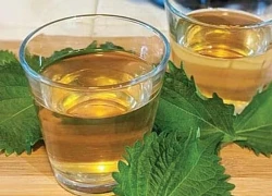 7 loại trà thảo dược phòng và hỗ trợ trị rối loạn tiêu hóa
