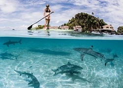 Việt Nam trong bản đồ nghỉ dưỡng thầm lặng của giới siêu giàu