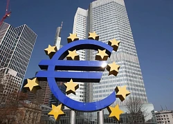 ECB nhiều khả năng sẽ tạm dừng chu kỳ cắt giảm lãi suất