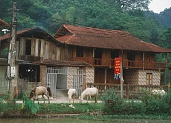 Ghé thăm Làng Bên, bản nhỏ yên bình ở Lạng Sơn