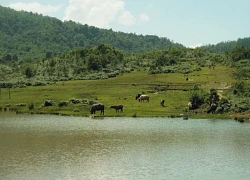 Giới trẻ đổ về Y Tý tránh nóng, săn mây trắng giữa đại ngàn Tây Bắc