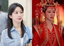 Hai dự án phim của Dương Tử gây thua lỗ cho nền tảng?
