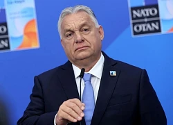 Hungary: Kết nạp Ukraine vào NATO sẽ dẫn đến Thế chiến III