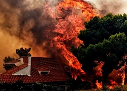 Hy Lạp: Nguy cơ cháy rừng cháy rừng gần Athens vẫn rất cao