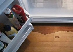 Mở tủ lạnh thấy sặc mùi hôi cùng nước đỏ chảy ra, tôi phát hoảng gọi mẹ chồng thì lại tìm được bí mật trong ngăn đá
