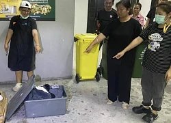 Nhặt chiếc thùng nhựa gần bãi rác, người phụ nữ hoảng hốt khi nhìn thấy 9,5 tỷ đồng