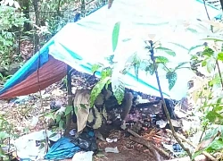 Phát hiện thi thể người đàn ông trong rừng sâu ở Lâm Đồng