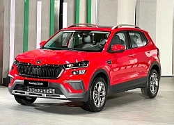 Ra mắt SUV châu Âu Skoda Kushaq sản xuất tại Việt Nam giá từ 589 triệu đồng