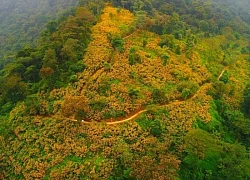 Tạp chí du lịch Mỹ Travel & Leisure vinh danh 'điểm đến trong mơ' Hà Nội