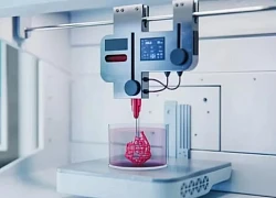 Tiểu đảo tụy in 3D có thể thay thế insulin dạng tiêm