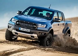 Top 5 mẫu xe bán tải mạnh mẽ nhất dành cho dân off-road
