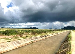 Trục lợi tiền bồi thường, hỗ trợ tái định cư, hàng loạt cán bộ lĩnh án