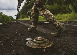 Ukraine 'theo bước' một số nước NATO rút khỏi công ước cấm mìn sát thương cá nhân