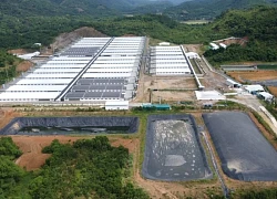 Nguyên nhân trang trại lợn ở Thanh Hóa phát tán mùi hôi thối dù có giấy phép