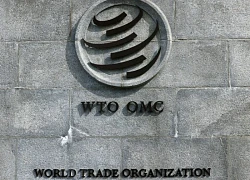 WTO dự báo tăng trưởng thương mại toàn cầu giảm tốc vào cuối năm 2025