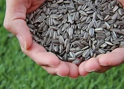 7 loại hạt nên ăn để tóc mọc chắc khỏe tự nhiên